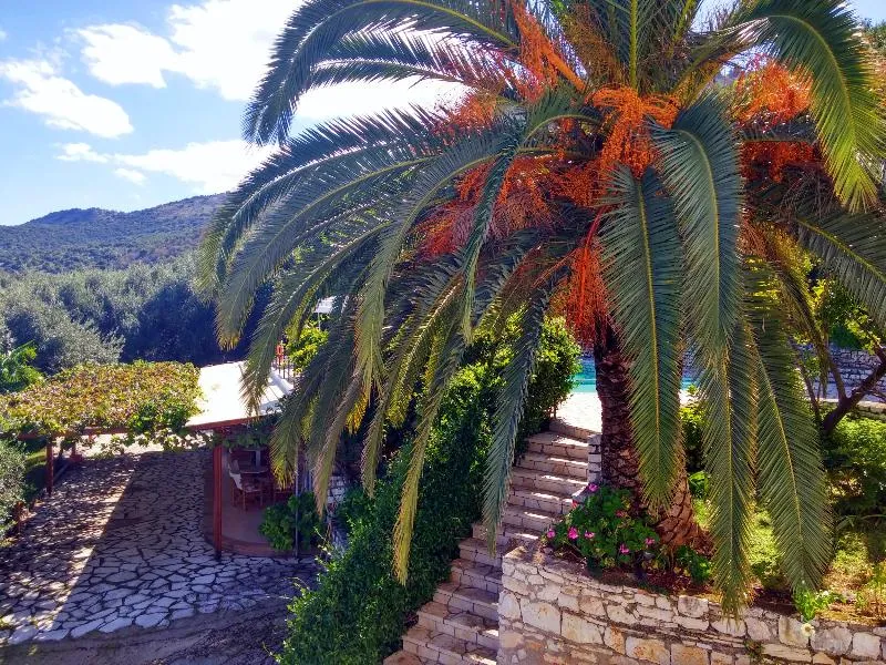 General view, Dionysos Apartments, Corfu