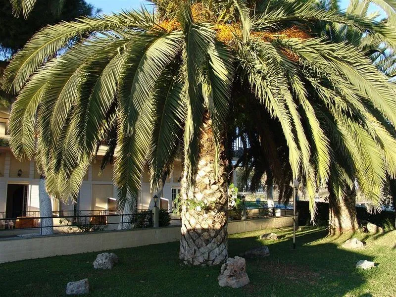General view, Ignatia Hotel, Kalamata