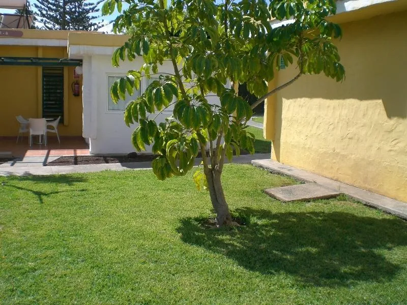 Terrace, Sunny Village, Gran Canaria