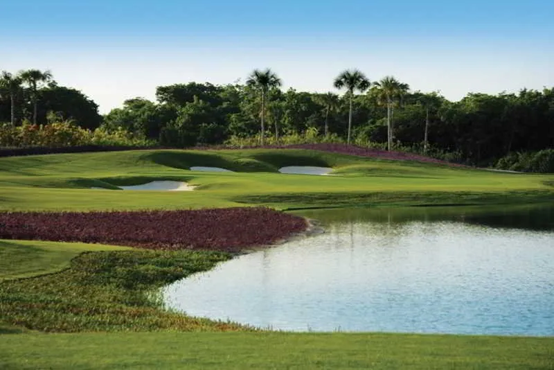 Sports and Entertainment, Pure All Suites Riviera Maya, Playa Del Carmen