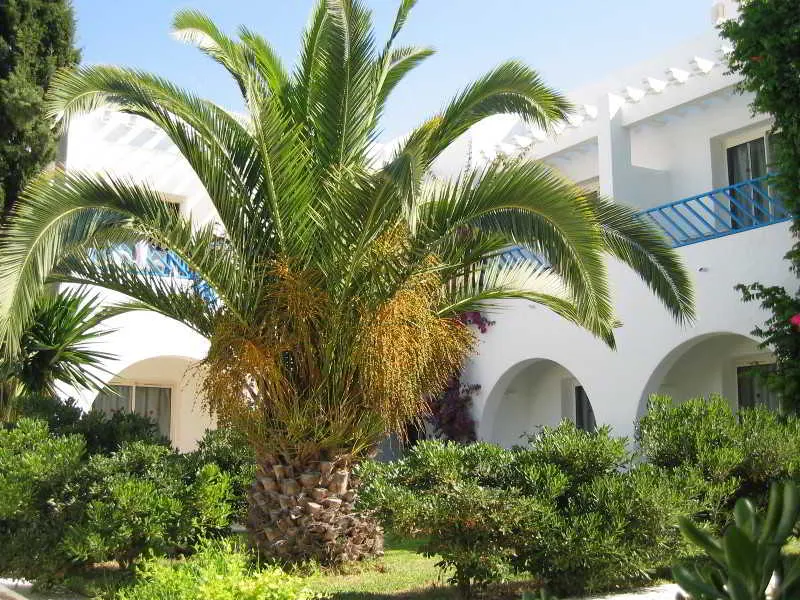 General view, Residence La Paix, Tunisia