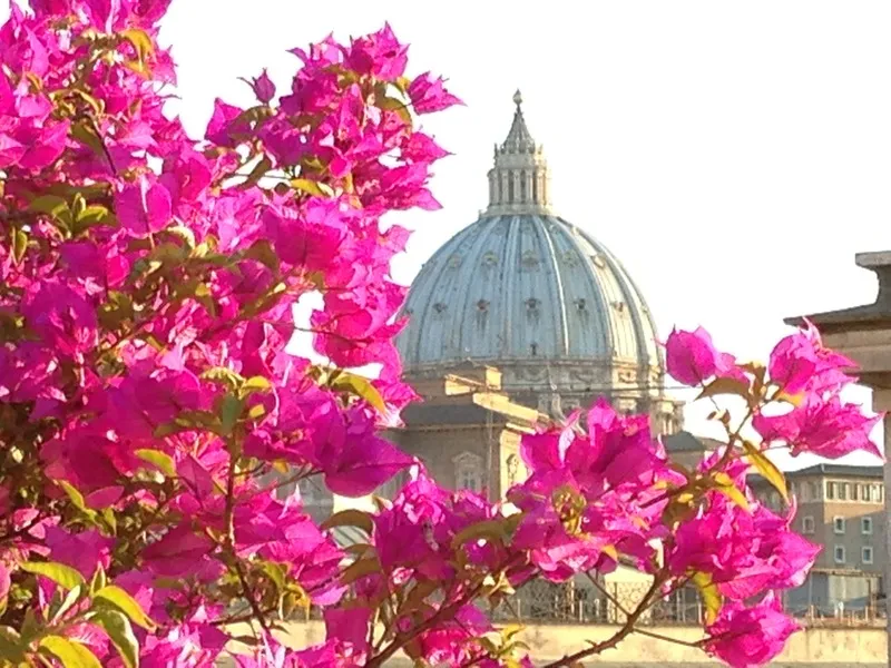 General view, Dei Consoli Roma, Rome