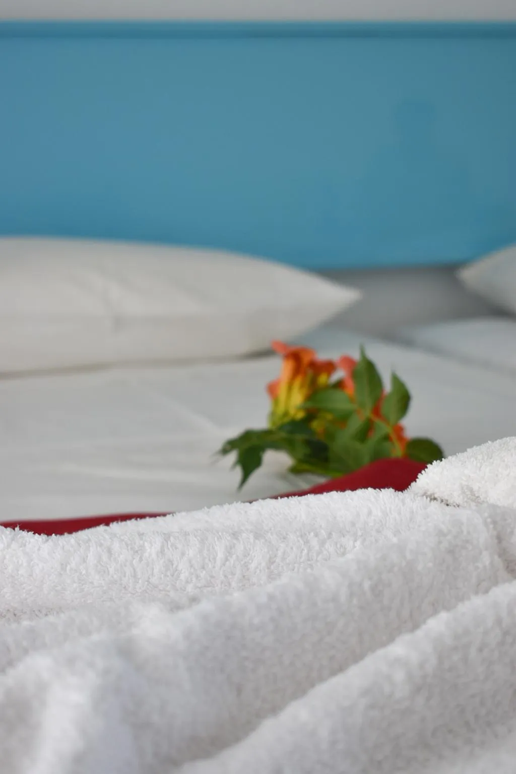 Double or Twin STANDARD Room, Oleander, Rhodes