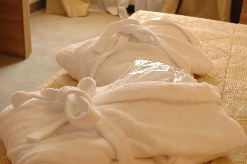 Double or Twin STANDARD Room, Phi Hotel Garden Area Roma Eur, Rome