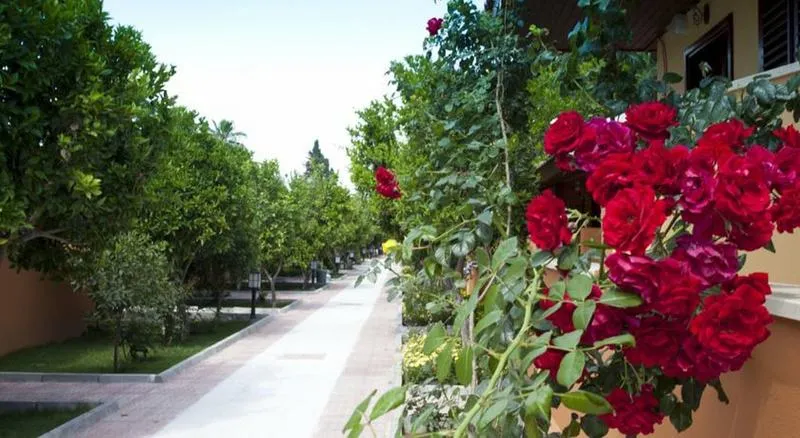 Terrace, Ozlem Garden, Antalya