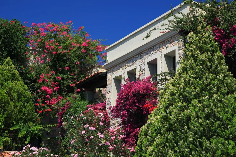 General view, Zeytinada, Bodrum