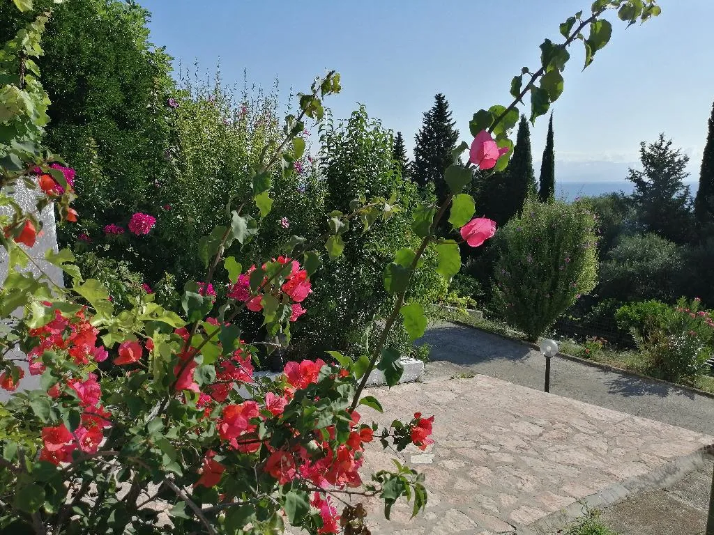General view, Aronis Apartments, Corfu