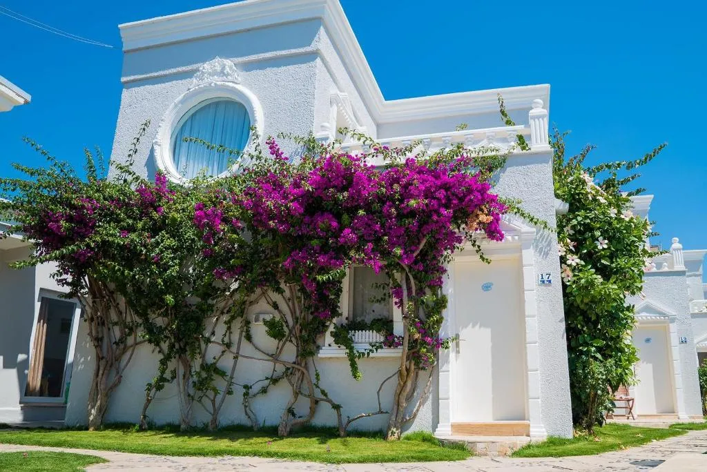 General view, Art Suites, Bodrum