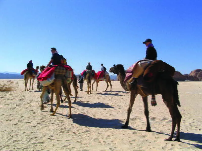 Sports and Entertainment, Coral Coast Hotel, Red Sea Riviera