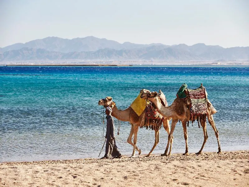 Beach, Kempinski Hotel Soma Bay, Red Sea Riviera