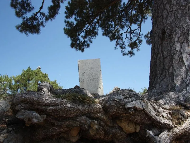 Sports and Entertainment, Montaña de Cazorla, Andalucia