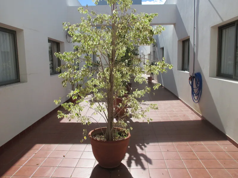 Terrace, Avenida de Canarias, Gran Canaria