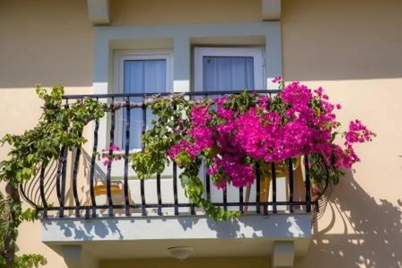 SINGLE STANDARD Room, Mavruka, Dalaman