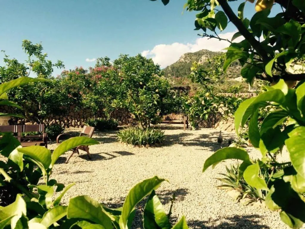 General view, Finca Can Paulino, Majorca