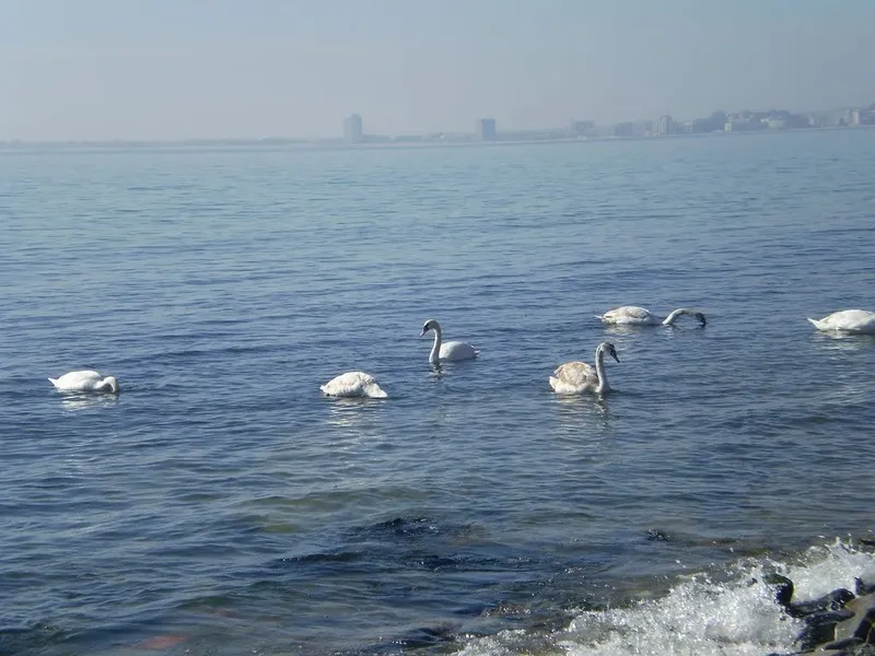 Beach, Family Hotel Venera, Bourgas