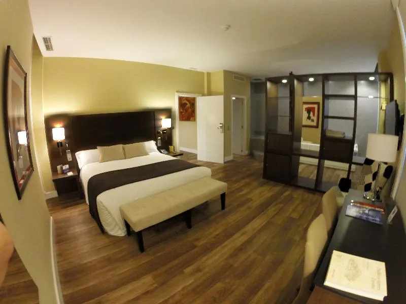 Room, Hotel Majadahonda, Madrid