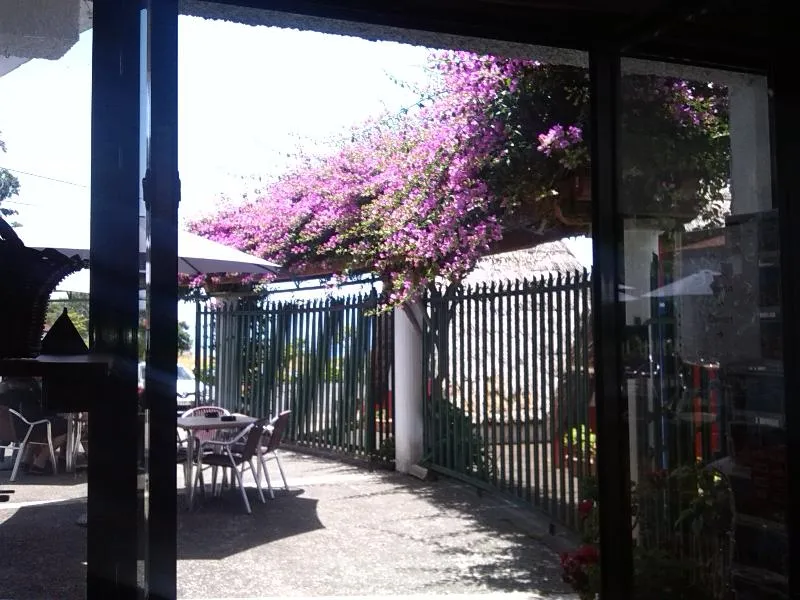 Terrace, Cabanas de Sao Jorge Village, Madeira