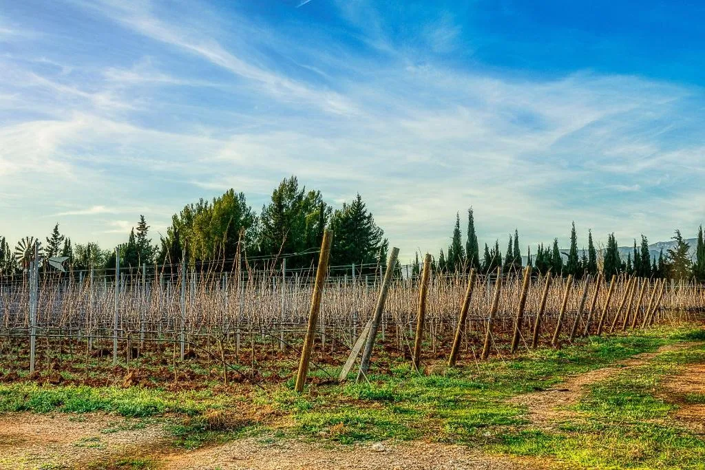 Room, Weingut & Landhotel Can Davero, Majorca