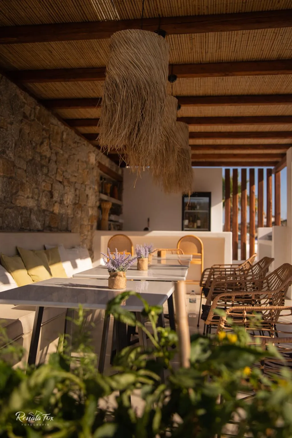 Bar, Myconian Theros, Mykonos