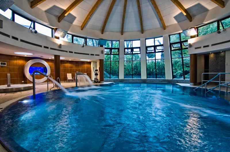 Pool, Turowka Hotel&Spa, Krakow