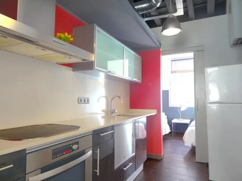 General view, City Center Apartments, Barcelona