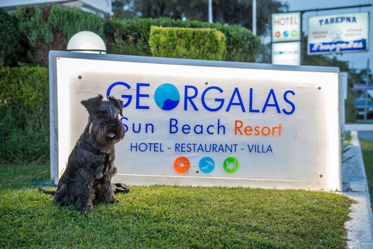 Georgalas Sun Beach Hotel, Halkidiki