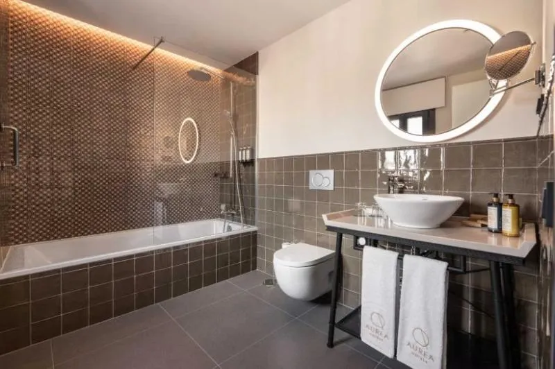 DOUBLE SINGLE USE DELUXE Room, Áurea Toledo, Madrid