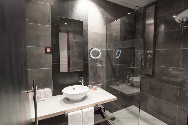 DOUBLE SINGLE USE STANDARD Room, Petit Palace Santa Barbara, Madrid