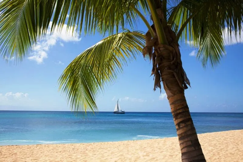 Beach, Port Ferdinand Marina and Luxury Residences, Barbados