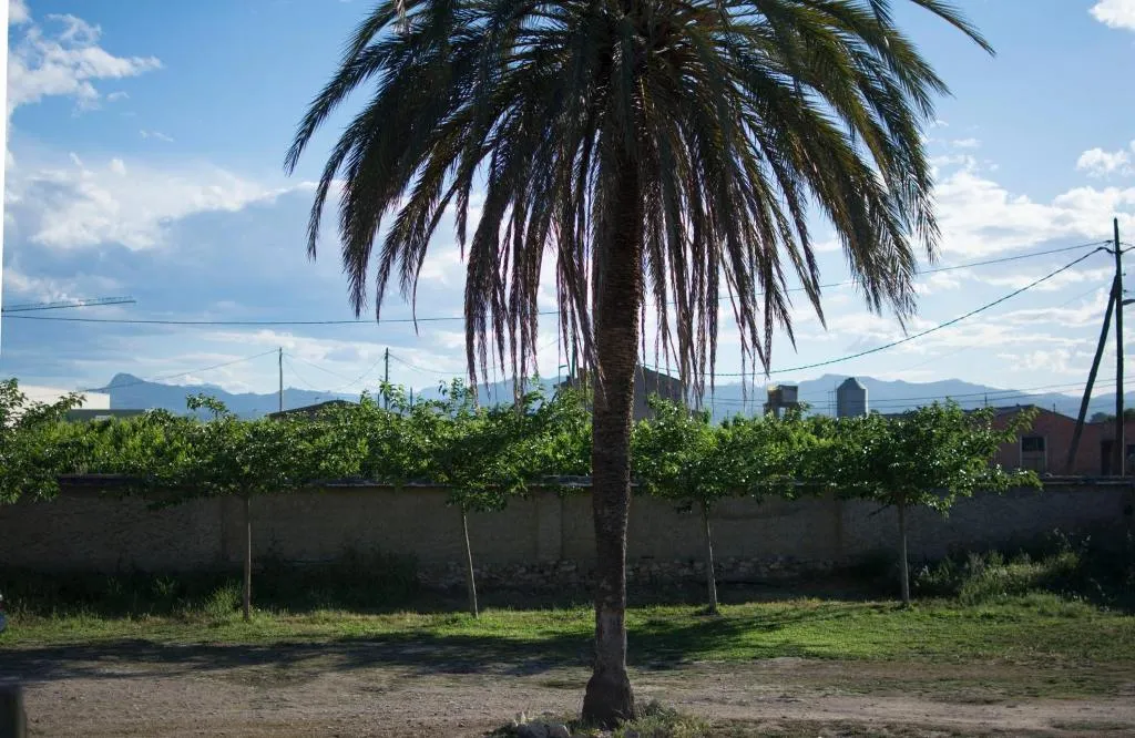 General view, Mas Taniet, Costa Dorada