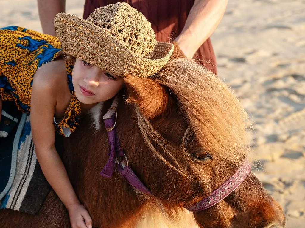 Sports and Entertainment, Grecotel Marine Palace & Aqua Park, Crete