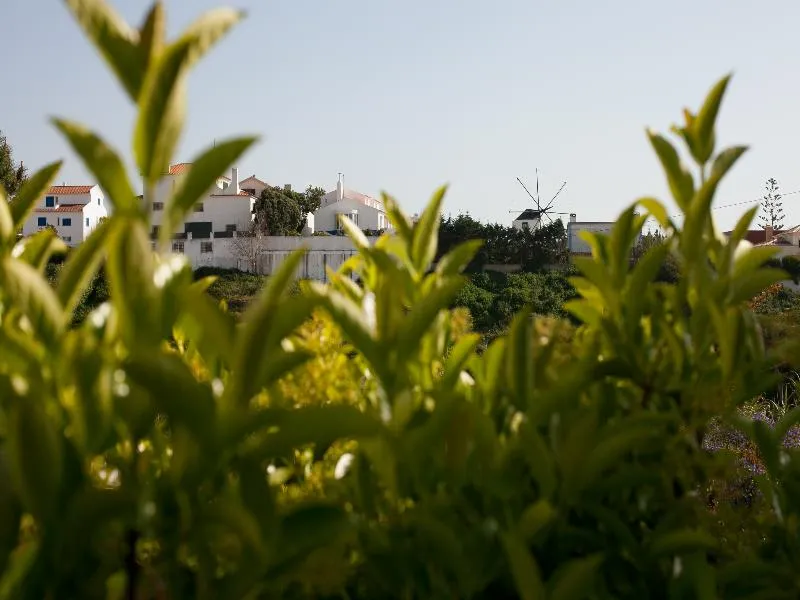 General view, Ericeira Chill Hill 2 – Peach Garden, Lisbon