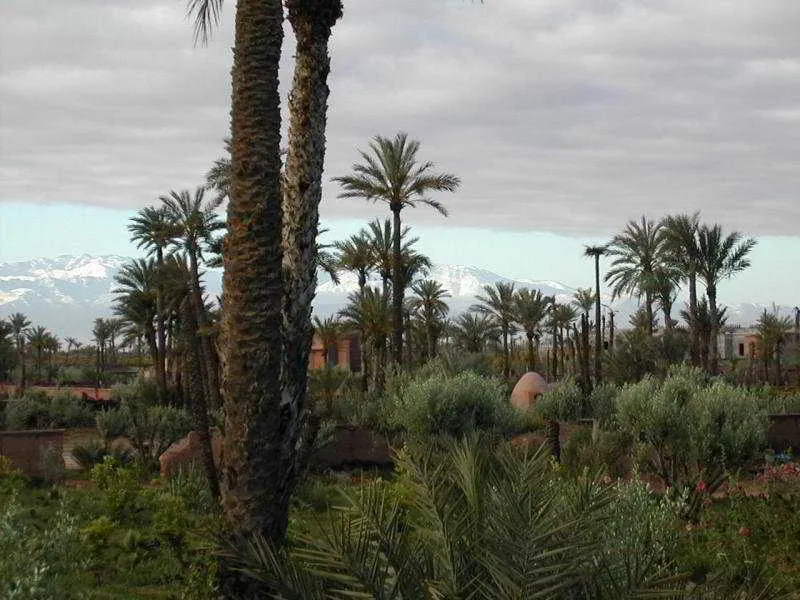 General view, Kasbah Tiwaline, Marrakech