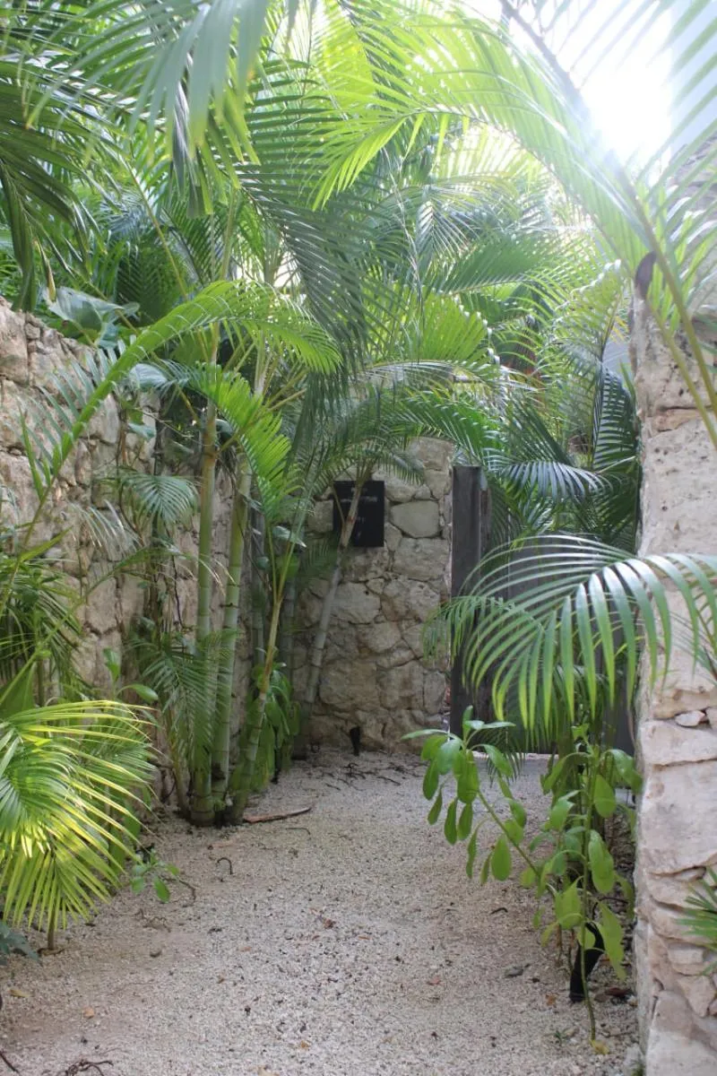 General view, Kuun Taak Tulum, Cancun Area