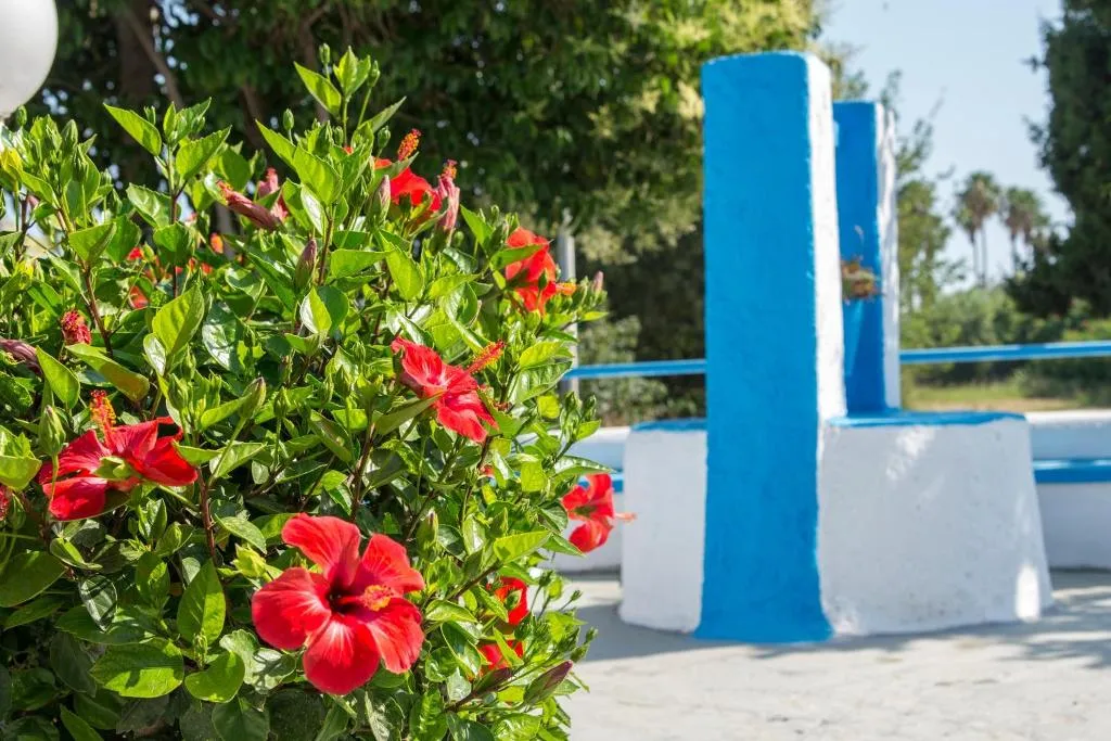 General view, Yannis Yard Studios And Apartments, Kos