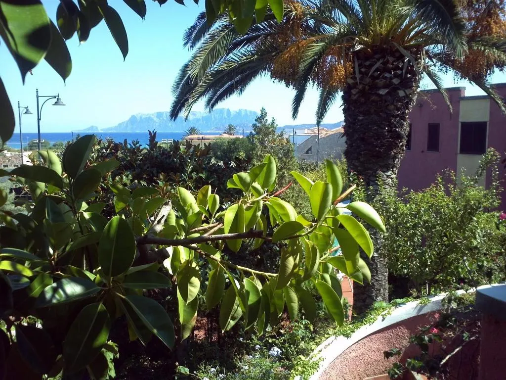 General view, Abbaruja, Olbia