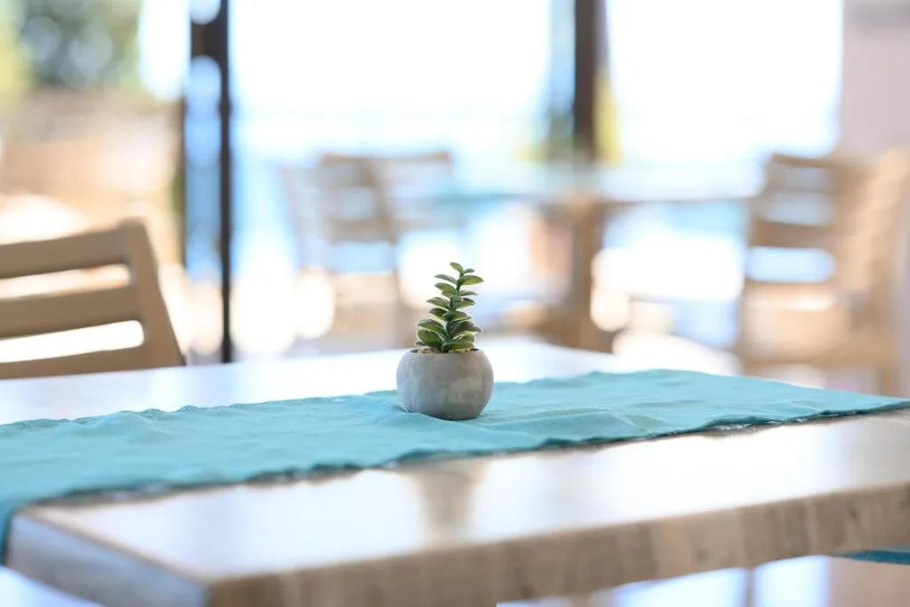 General view, Siora Leni Hotel, Corfu