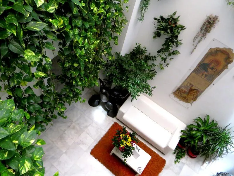 Lobby, Un Patio al Sur, Seville