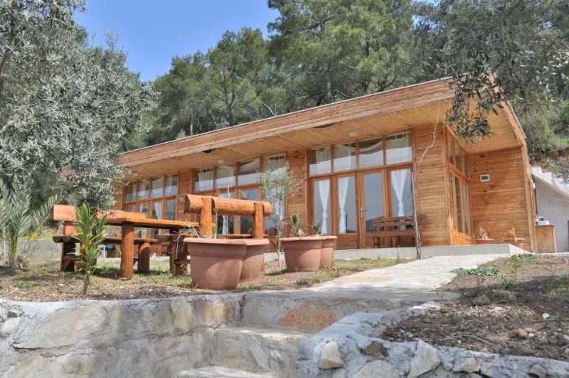 Terrace, Olympos Mitos, Antalya