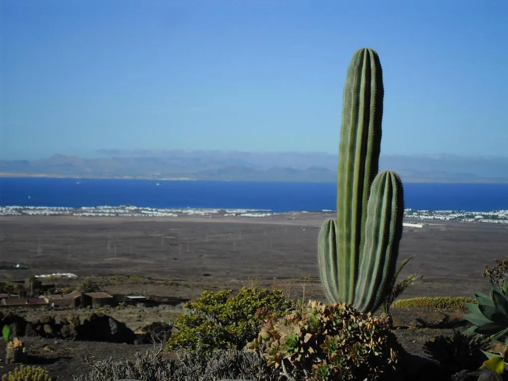 General view, Casa Rural Los Ajaches, Lanzarote