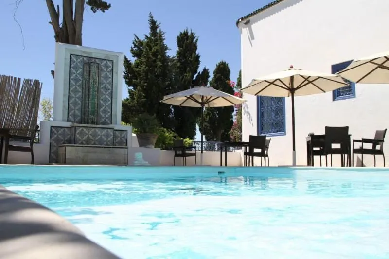 Pool, Dar Said, Tunisia