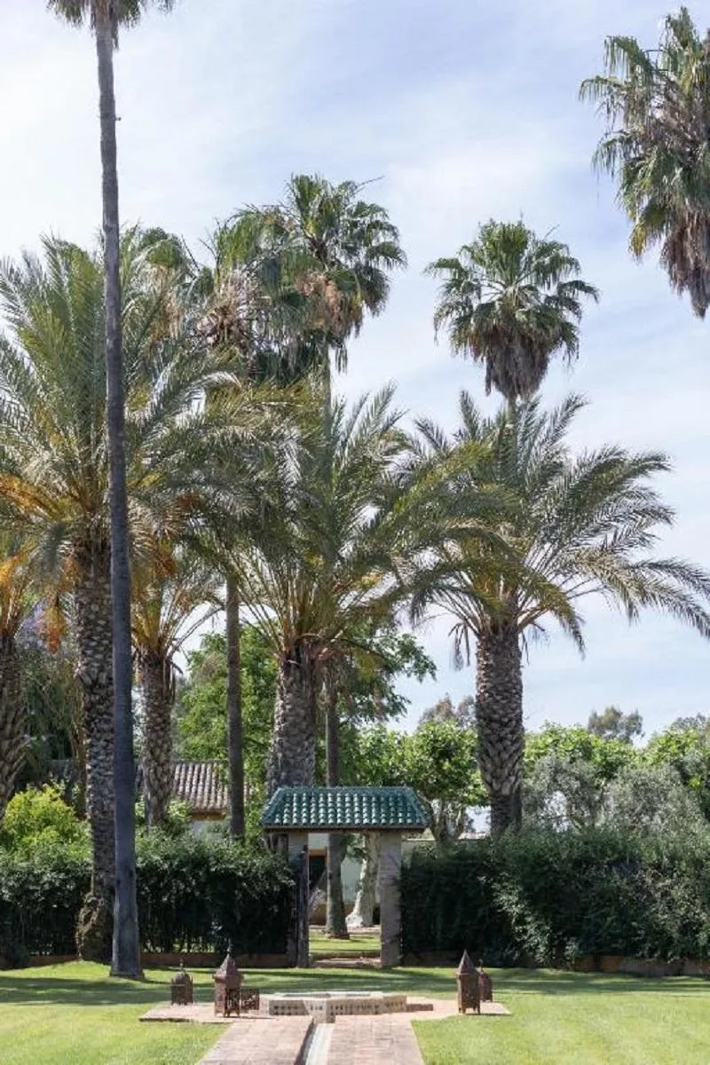 General view, El Cortijo de los Mimbrales, Costa De La Luz