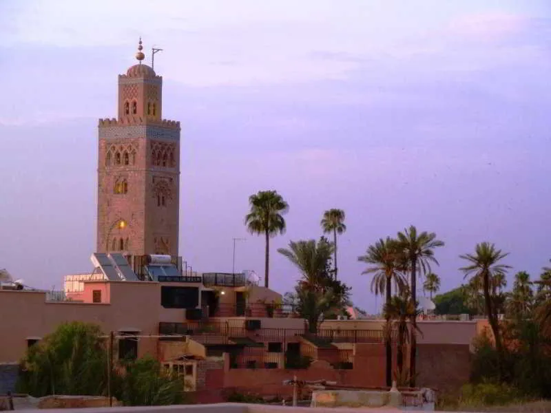 General view, Riad Viva, Marrakech