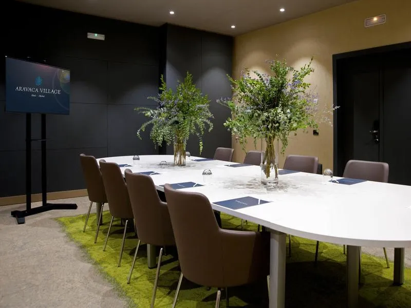 Conferences, Hotel Aravaca Village, Madrid