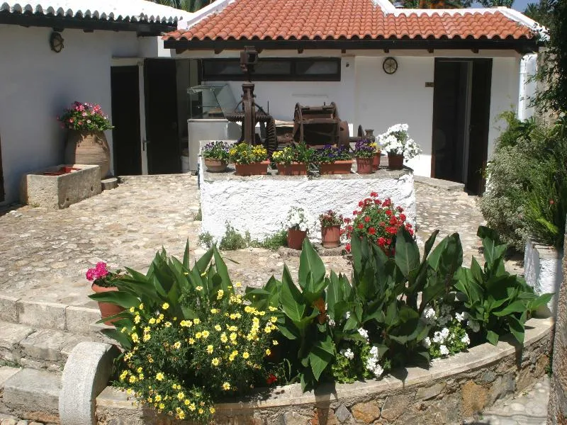 Terrace, Oasis Guesthouse, Crete