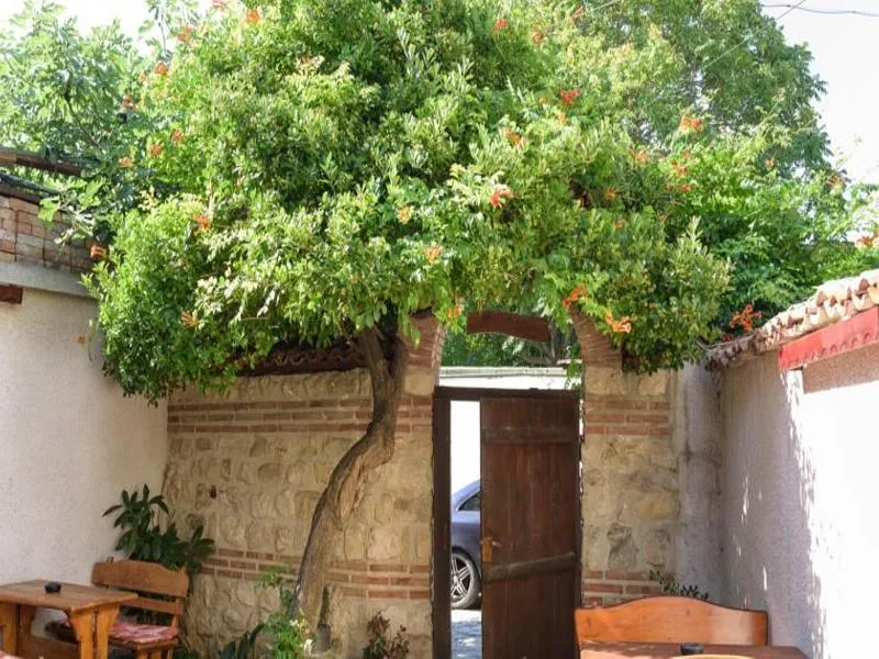 Lobby, Kirios, Bourgas
