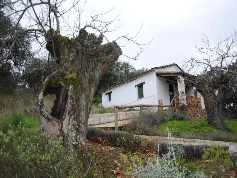 General view, Finca Valbono, Seville