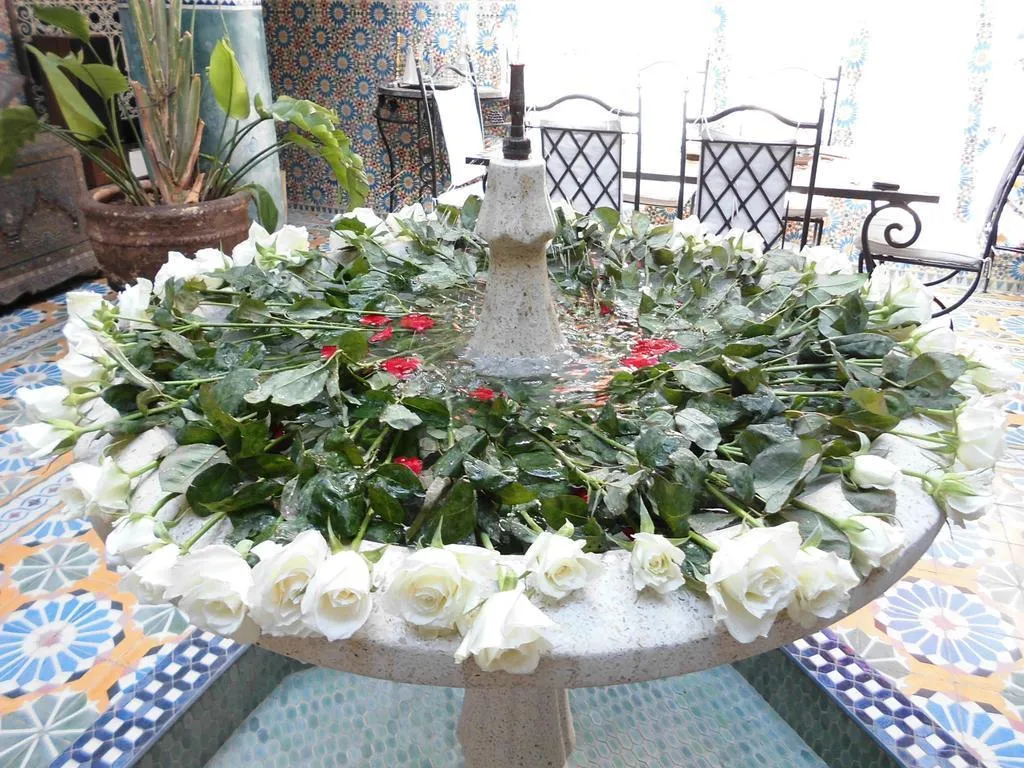 General view, Riad Bibtia, Marrakech