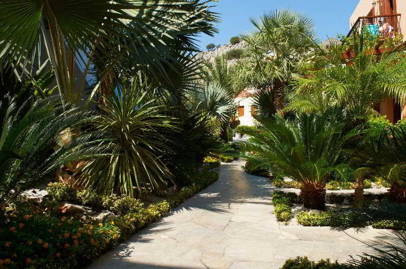 Terrace, Iapetos Village, Rhodes