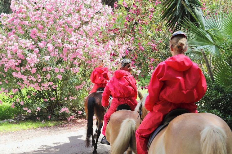 Horse Country Resort Congress & Spa - Hotel Medar, Cagliari